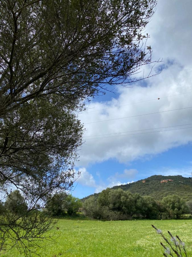 Casa Vacanza Porta Smeralda Olbia Eksteriør bilde
