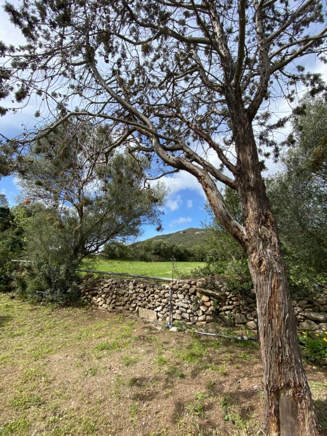 Casa Vacanza Porta Smeralda Olbia Eksteriør bilde