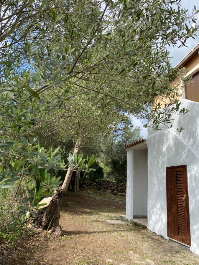 Casa Vacanza Porta Smeralda Olbia Eksteriør bilde