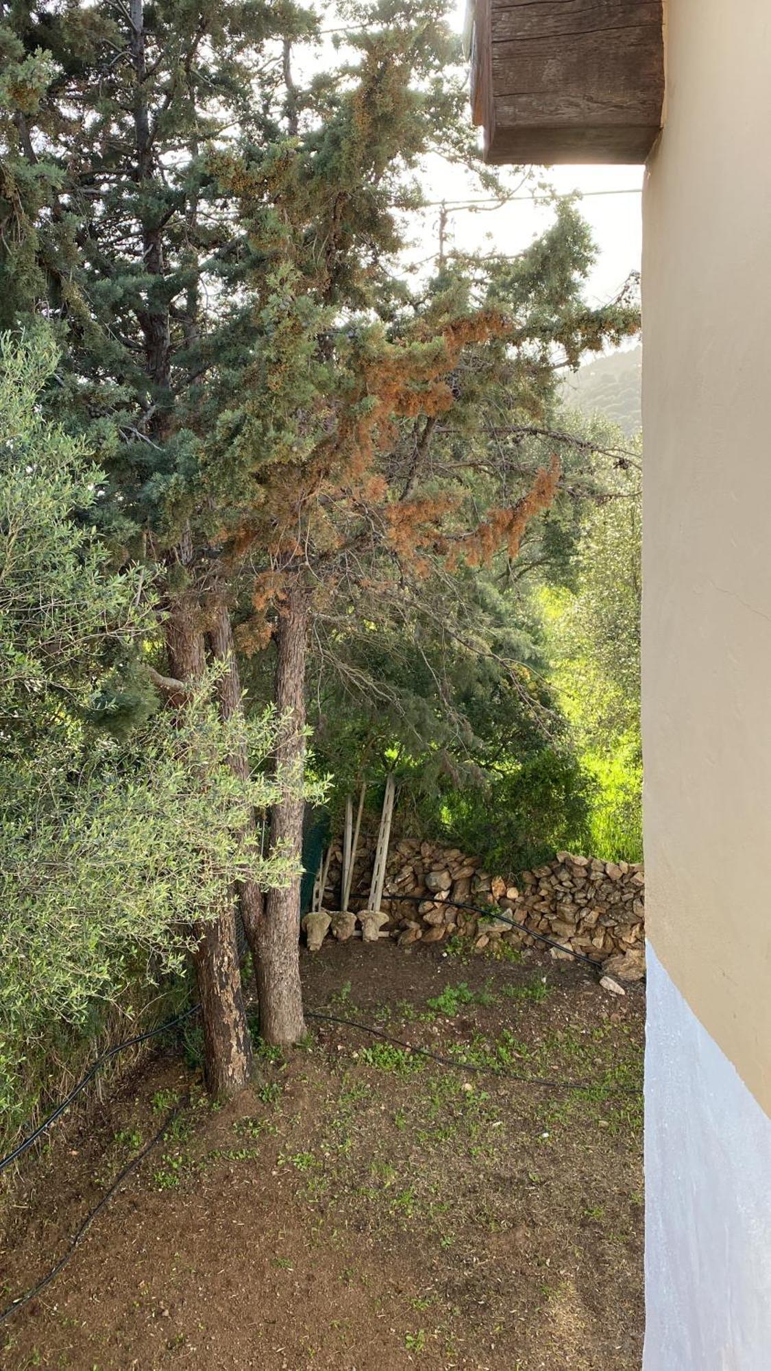 Casa Vacanza Porta Smeralda Olbia Eksteriør bilde