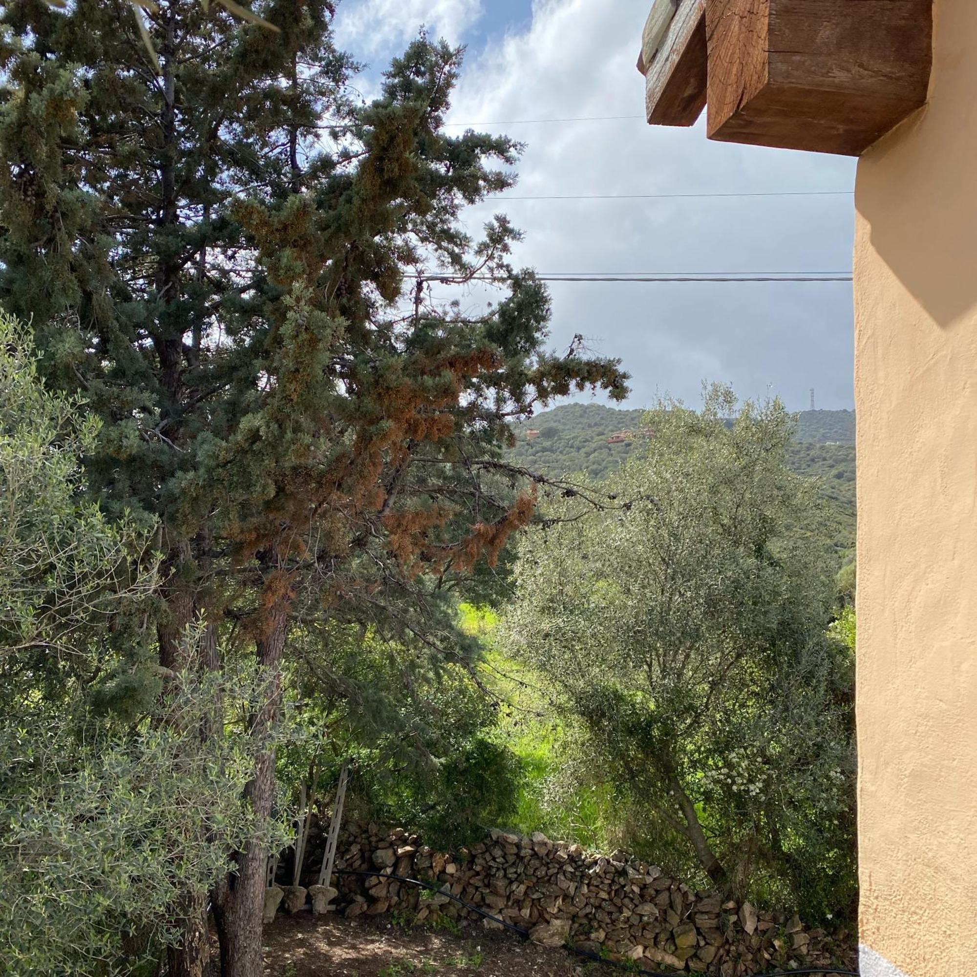 Casa Vacanza Porta Smeralda Olbia Eksteriør bilde