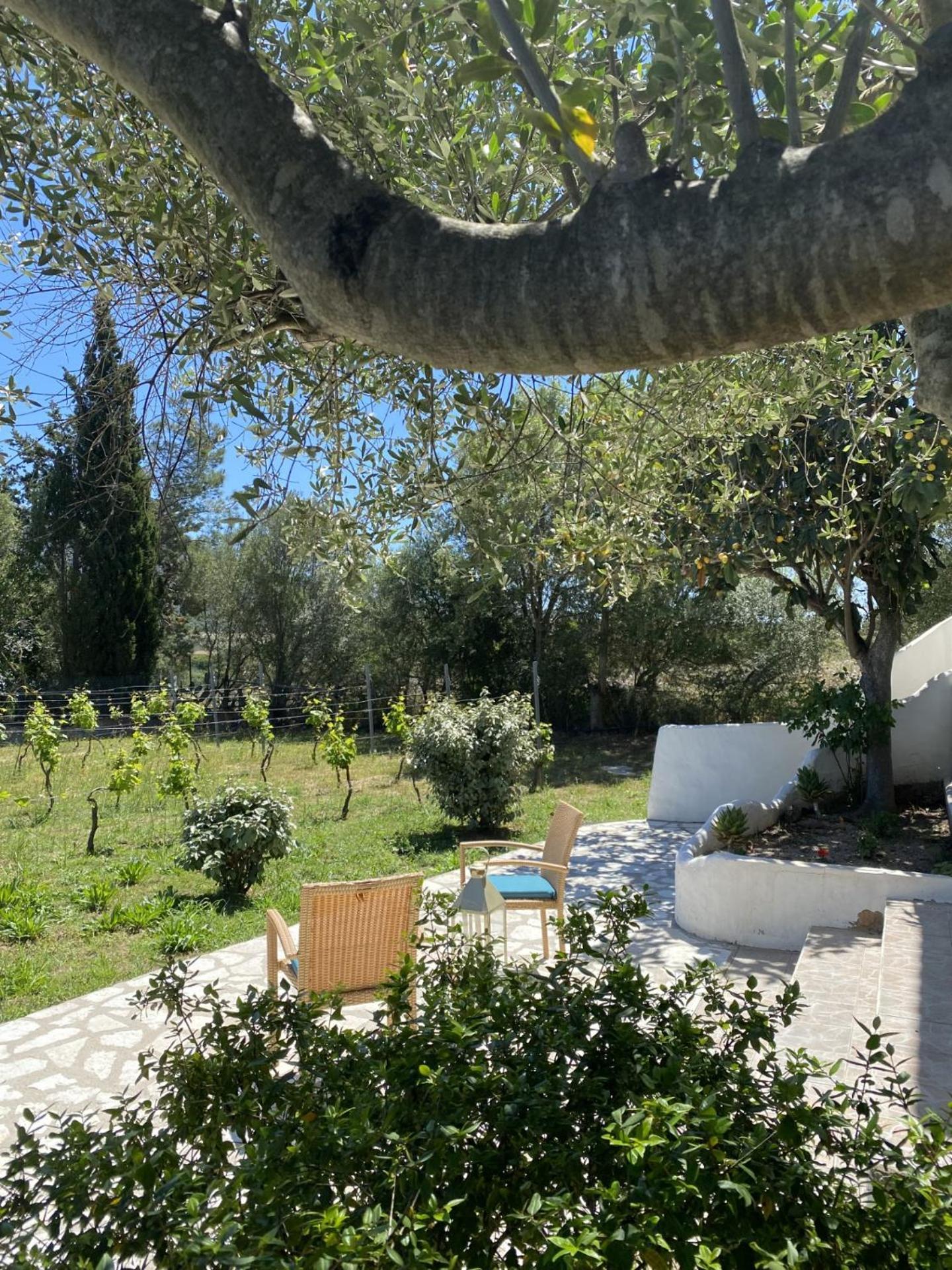 Casa Vacanza Porta Smeralda Olbia Eksteriør bilde